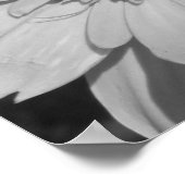 白黒花ポスター ポスター (角)