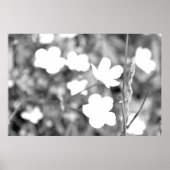 白黒花モダンアート撮影 ポスター (正面)