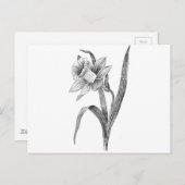 白黒花水仙ヴィンテージ ポストカード (正面/裏面)