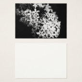 白黒花 (正面&裏面)