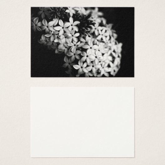 白黒花 (正面&裏面)