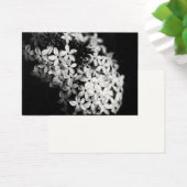 白黒花 (デスク)