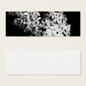 白黒花 (正面&裏面)