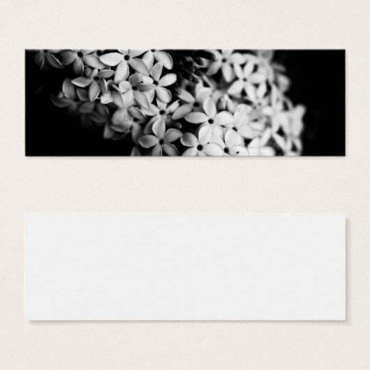 白黒花 (正面&裏面)