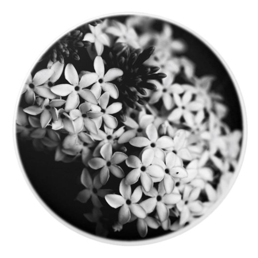 白黒花 セラミックノブ (正面)