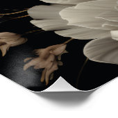 白黒花 ポスター (コーナー)