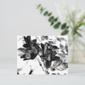 白黒花 ポストカード (スタンド正面)