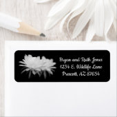 白黒花 ラベル (インサイチュ)