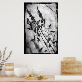白黒草のポスター ポスター (キッチン)