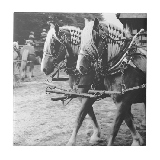 白黒荷車を引くで作業する馬 タイル (正面)