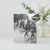白黒荷車を引くで作業する馬 ポストカード (スタンド正面)