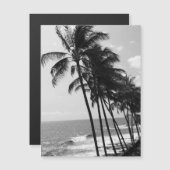 白黒葉書 (正面/裏面)