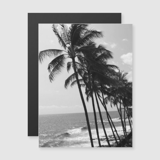 白黒葉書 (正面/裏面)