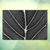 白黒葉白熱［赤熱］光を放つがクローズアップ ウィンドウサイン (シート3)