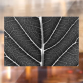 白黒葉白熱［赤熱］光を放つがクローズアップ ウィンドウサイン (シート2)