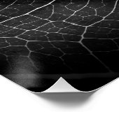 白黒葉白熱［赤熱］光を放つがクローズアップ ポスター (コーナー)