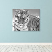 白黒虎の冬の自然写真の雪 キャンバスプリント (インサイチュ (ウッドフロア))