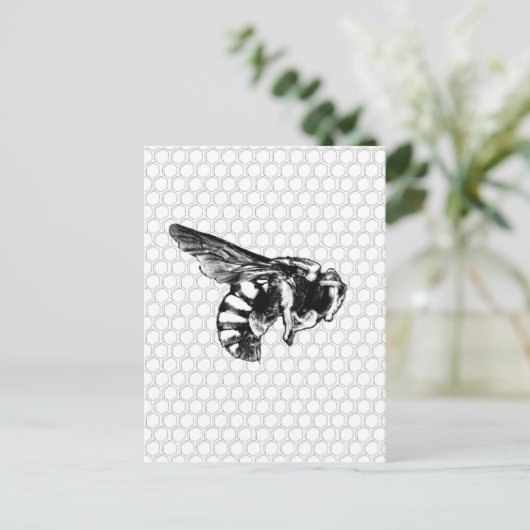 白黒蜂 ポストカード (スタンド正面)