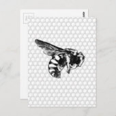 白黒蜂 ポストカード (正面/裏面)