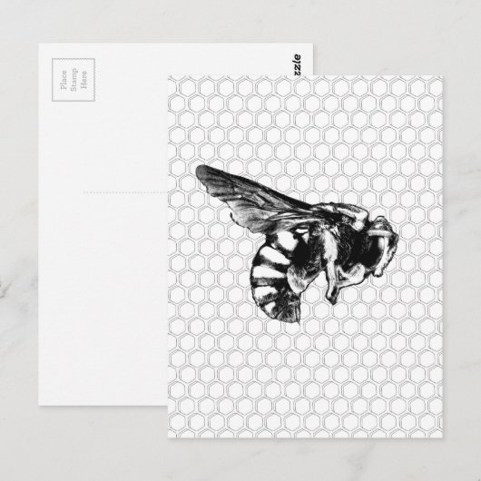 白黒蜂 ポストカード (正面/裏面)