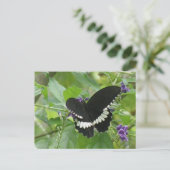 白黒蝶はがき ポストカード (スタンド正面)