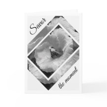 白黒蝶は時を満喫します