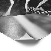 白黒蝶魅力的類 フォトプリント            (角)