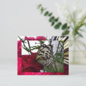 白黒蝶 ポストカード (スタンド正面)