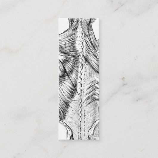 白黒解剖学の芸術の背筋(1890年) スキニー名刺 (正面)