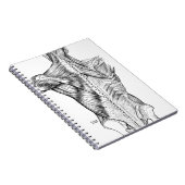 白黒解剖学の芸術の背筋(1890年) ノートブック (右側)