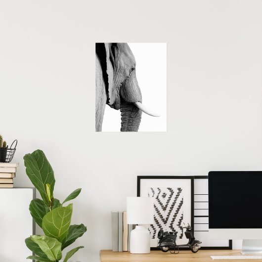 白黒象の野生アフリカ動物の写真 ポスター (ホームオフィス)