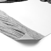 白黒象の野生アフリカ動物の写真 ポスター (角)