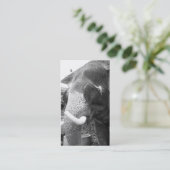 白黒象 名刺 (スタンド正面)