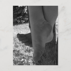 白黒足 ポストカード