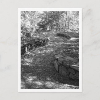 白黒郵便はがき ポストカード