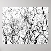 白黒野柳ポスター ポスター (正面)