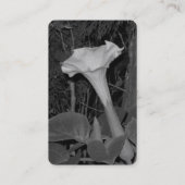 白黒野草 名刺 (裏面)