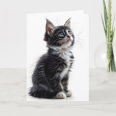 白黒長毛猫グリーティングカー空白のド カード (正面)