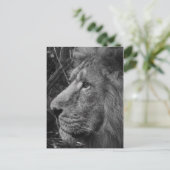 白黒閉じる ポストカード (スタンド正面)