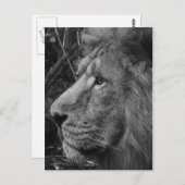 白黒閉じる ポストカード (正面/裏面)