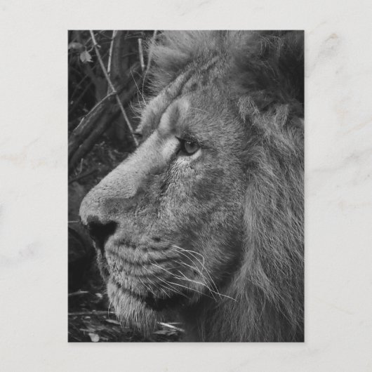 白黒閉じる ポストカード (正面)