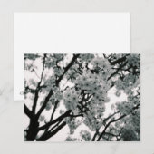 白黒開花 ポストカード (正面/裏面)