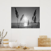 白黒雑草 ポスター (キッチン)