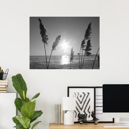 白黒雑草 ポスター (ホームオフィス)