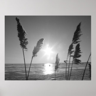 白黒雑草 ポスター