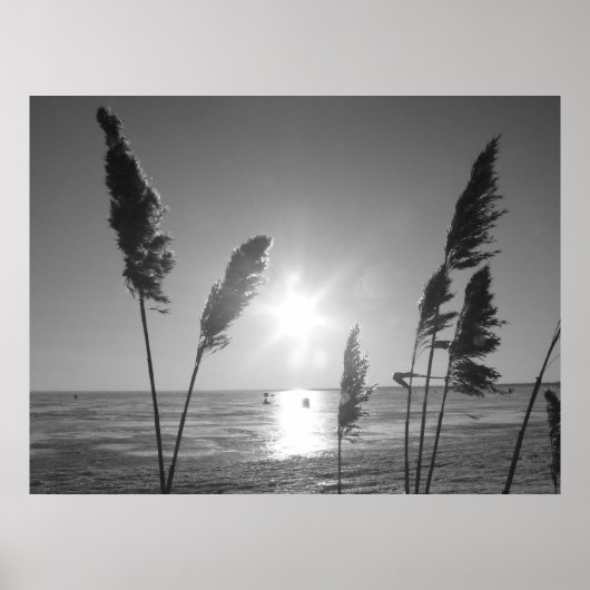 白黒雑草 ポスター (正面)