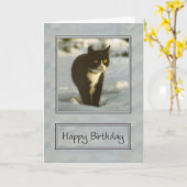 白黒雪の子猫ハッピーバースデー カード (黄色い花)