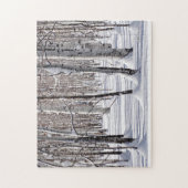 白黒雪の《植物》アスペンの木の幹の写真 ジグソーパズル (縦)