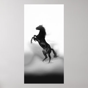 白黒飼育馬 ポスター
