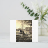 白黒馬のセピア色の調子の写真 ポストカード (スタンド正面)